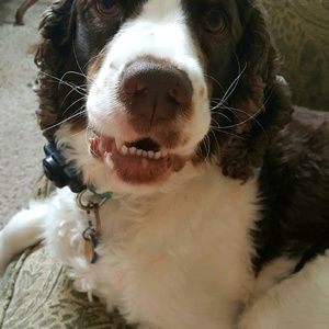 Meet your Posher, Jodi